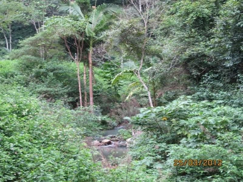 Lot 2 Wirth Road, Laceys Creek QLD 4521
