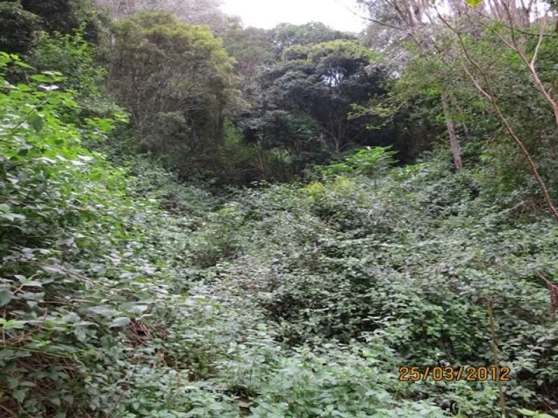 Lot 2 Wirth Road, Laceys Creek QLD 4521