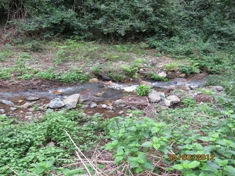 Lot 2 Wirth Road, Laceys Creek QLD 4521