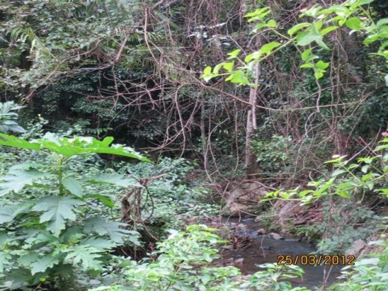 Lot 2 Wirth Road, Laceys Creek QLD 4521