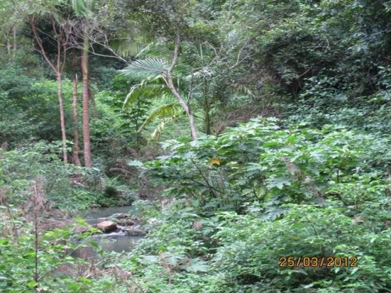 Lot 2 Wirth Road, Laceys Creek QLD 4521