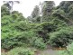 Lot 2 Wirth Road, Laceys Creek QLD 4521
