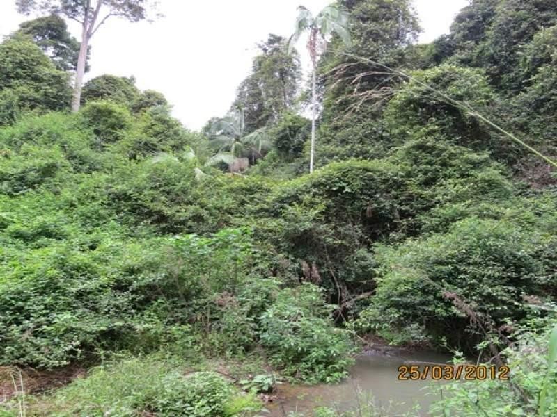 Lot 2 Wirth Road, Laceys Creek QLD 4521