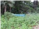 Lot 2 Wirth Road, Laceys Creek QLD 4521