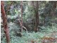 Lot 2 Wirth Road, Laceys Creek QLD 4521