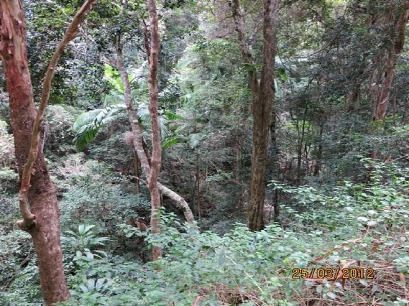 Lot 2 Wirth Road, Laceys Creek QLD 4521