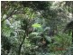 Lot 2 Wirth Road, Laceys Creek QLD 4521