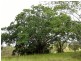 Lot 5 Grand View Drive, Ocean View QLD 4521