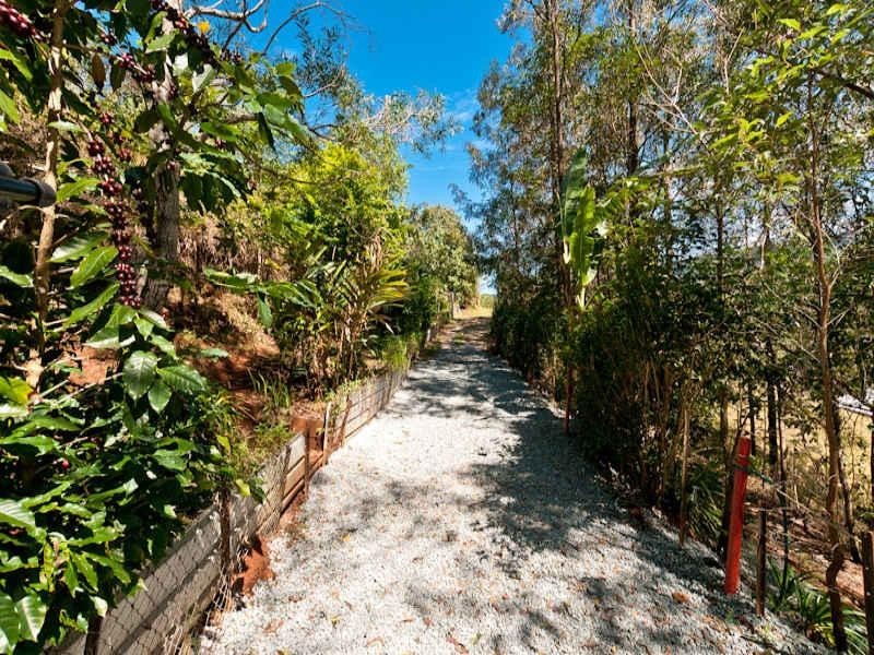 77 Macadamia Drive, Laceys Creek QLD 4521