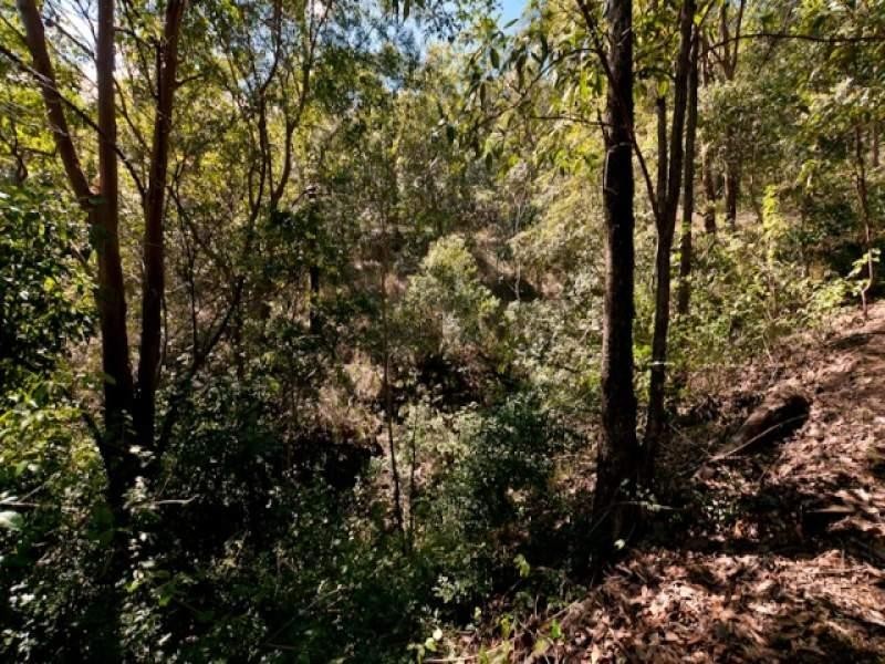 77 Macadamia Drive, Laceys Creek QLD 4521