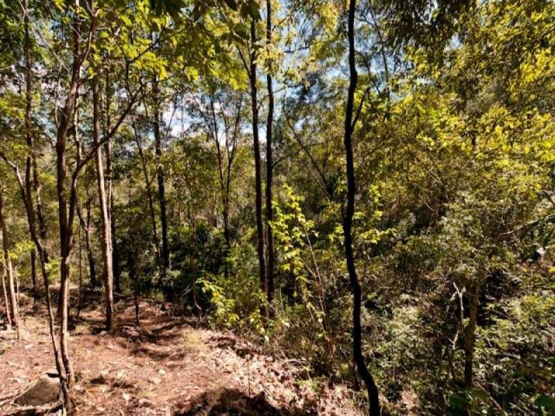 77 Macadamia Drive, Laceys Creek QLD 4521