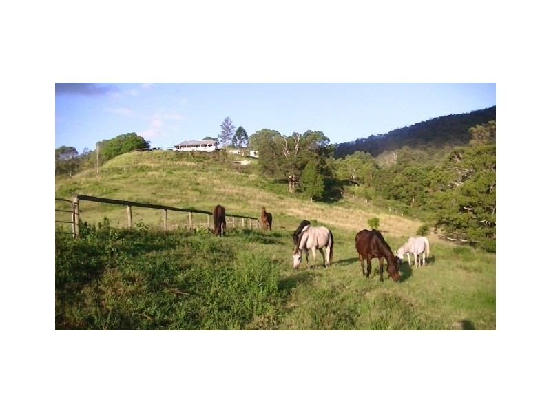 Laceys Creek QLD 4521