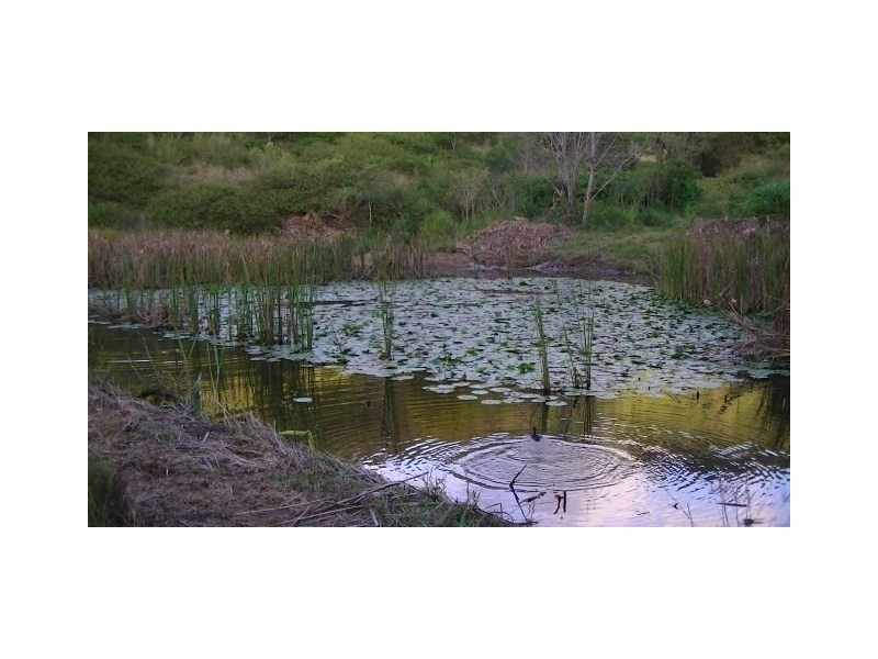 Laceys Creek QLD 4521