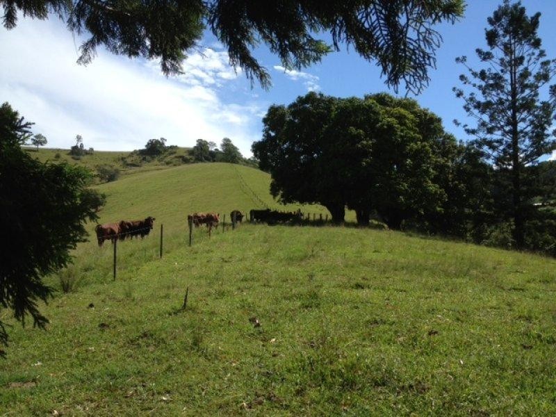 167 Bond Road, King Scrub QLD 4521