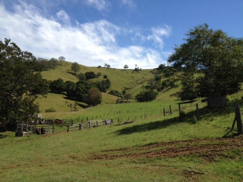 167 Bond Road, King Scrub QLD 4521