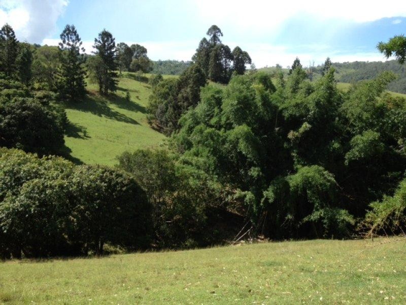 167 Bond Road, King Scrub QLD 4521