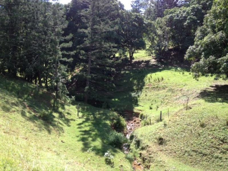 167 Bond Road, King Scrub QLD 4521