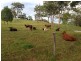 Ocean View QLD 4521