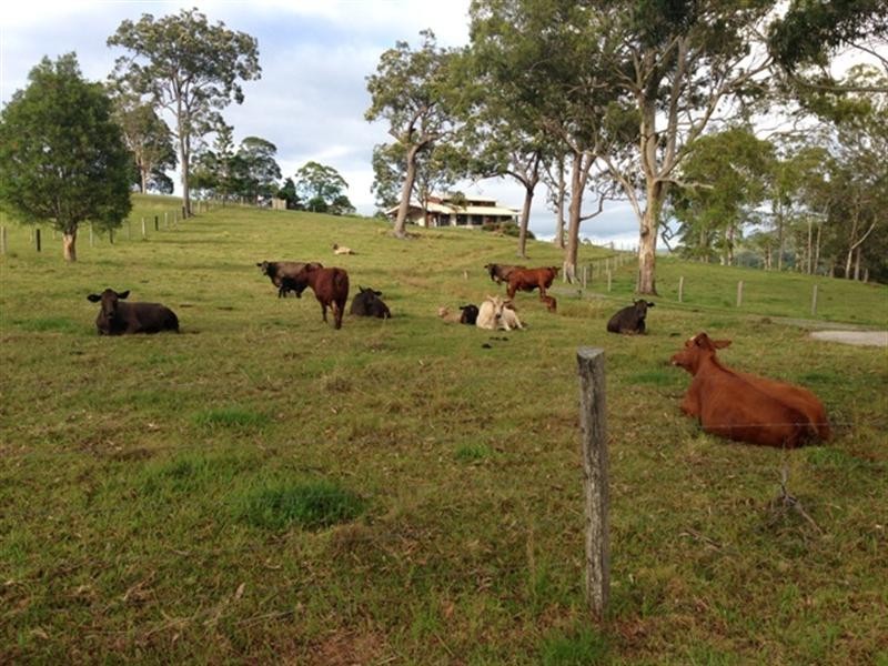 Ocean View QLD 4521