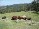 Ocean View QLD 4521