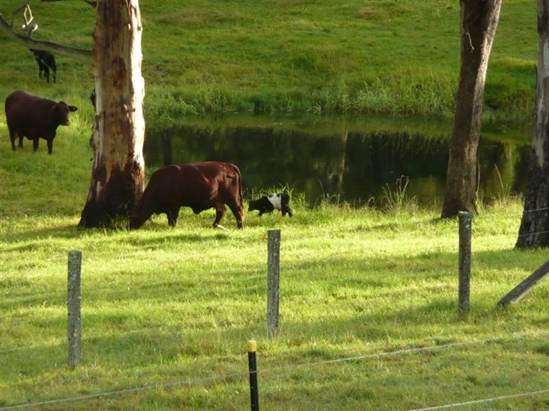 Ocean View QLD 4521