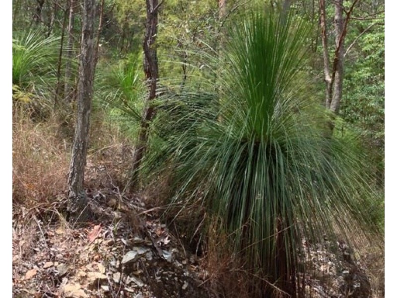 Laceys Creek QLD 4521