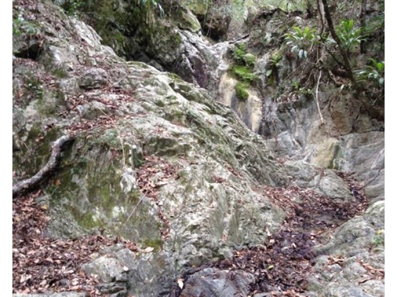 Laceys Creek QLD 4521