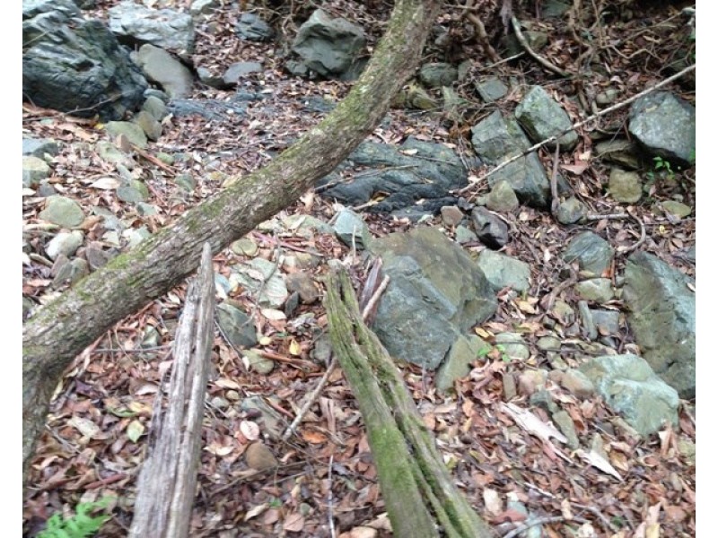 Laceys Creek QLD 4521