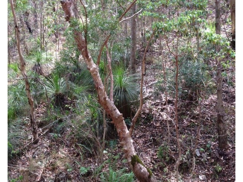 Laceys Creek QLD 4521