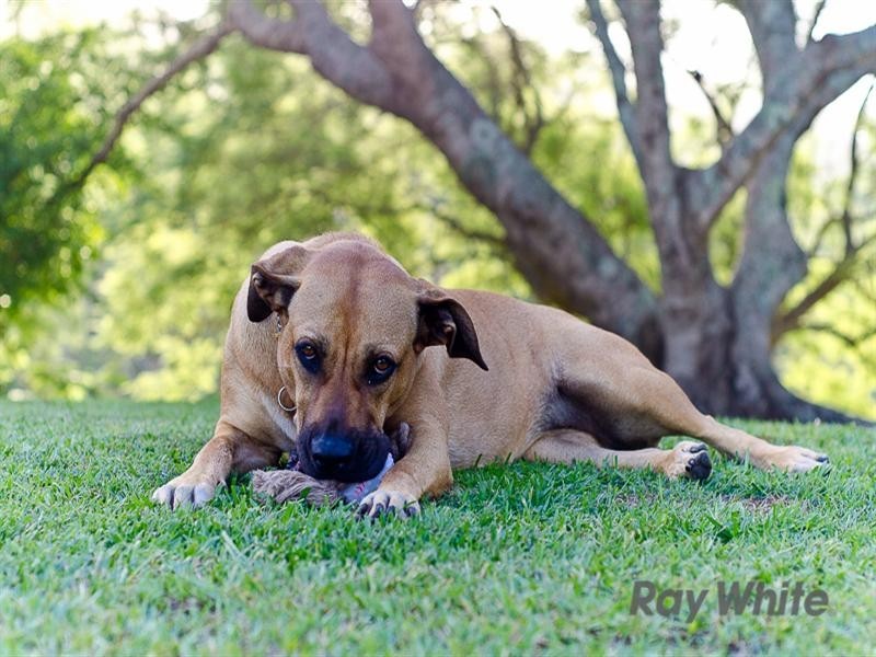 Mount Pleasant QLD 4521