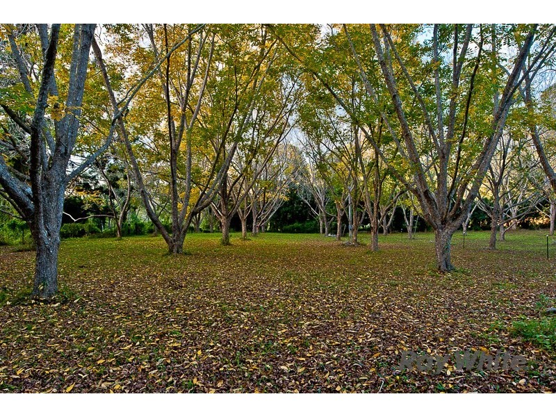 Laceys Creek QLD 4521