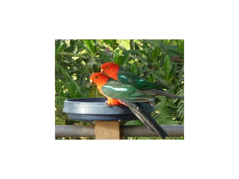 12 Highcrest Street, Ocean View QLD 4521