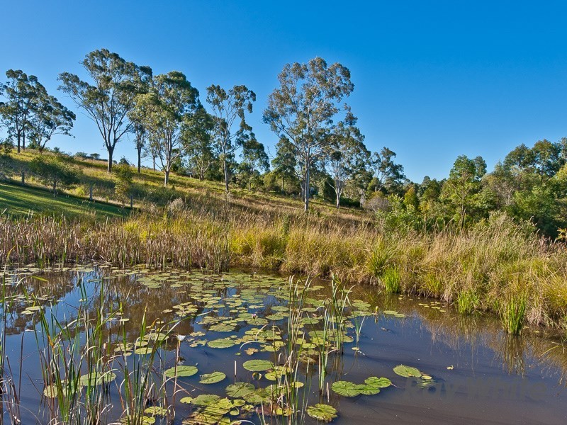 Ocean View QLD 4521