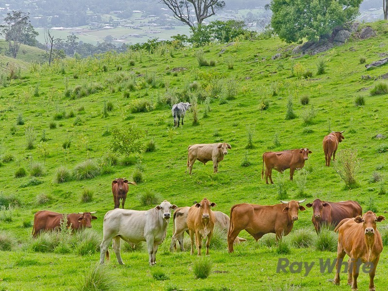 181 Ocean View Road, Ocean View QLD 4521