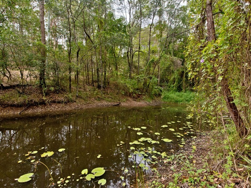 Kobble Creek QLD 4520