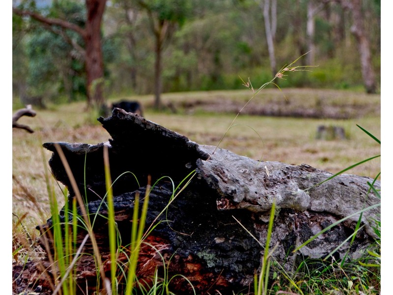 Laceys Creek QLD 4521