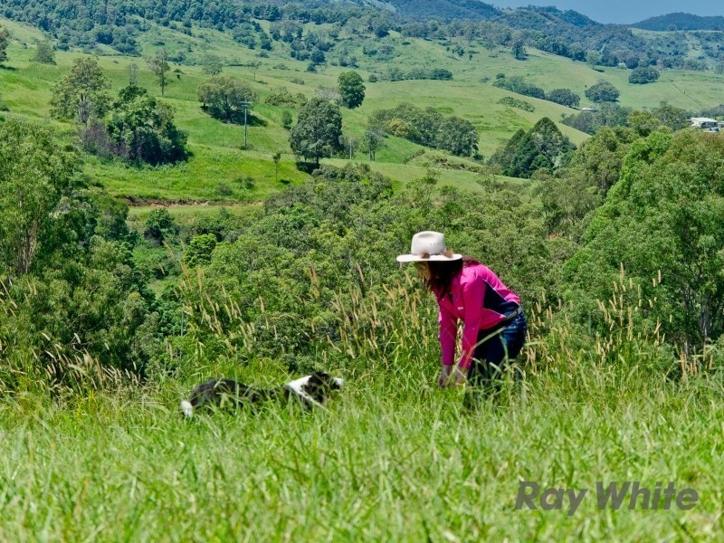 Mount Pleasant QLD 4521