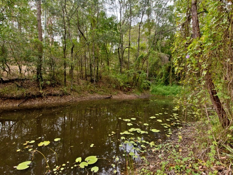 Kobble Creek QLD 4520