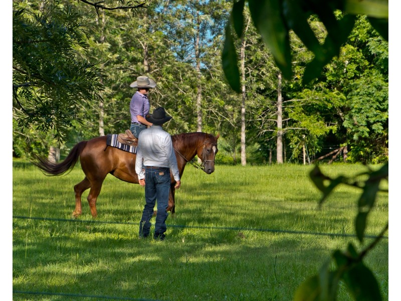 120 Basin Road, Samsonvale QLD 4520