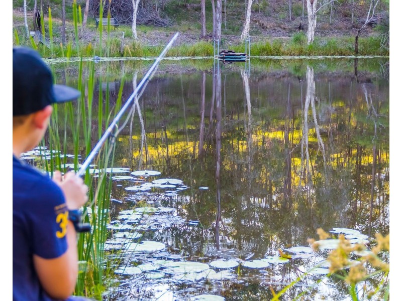 24 Collins Street, Moorina QLD 4506