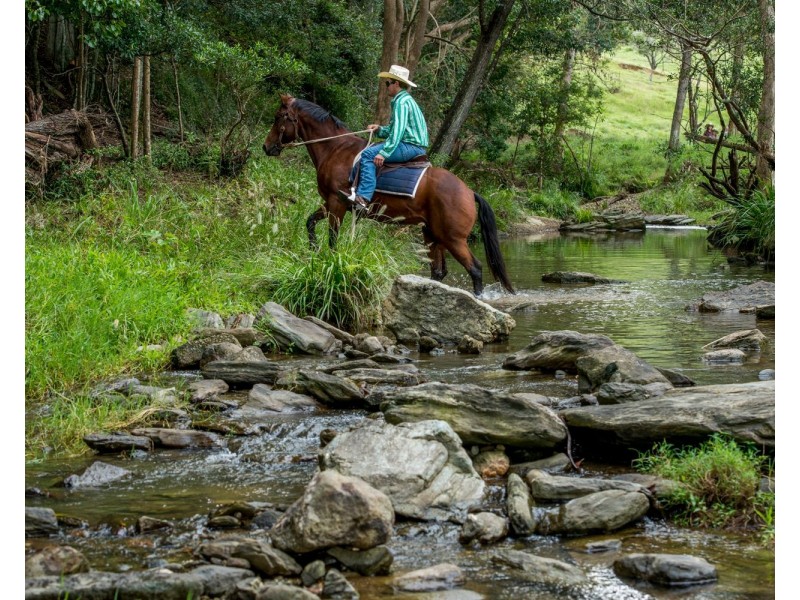 528 Mount Pleasant Road, Mount Pleasant QLD 4521