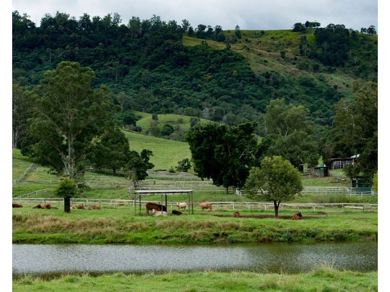 528 Mount Pleasant Road, Mount Pleasant QLD 4521