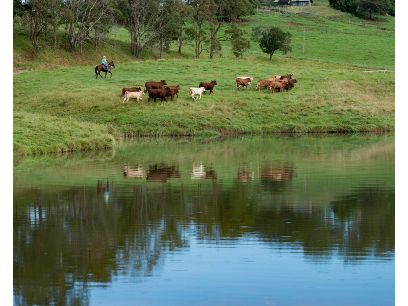 528 Mount Pleasant Road, Mount Pleasant QLD 4521