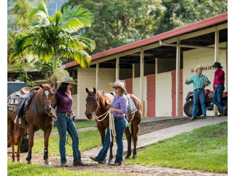 528 Mount Pleasant Road, Mount Pleasant QLD 4521