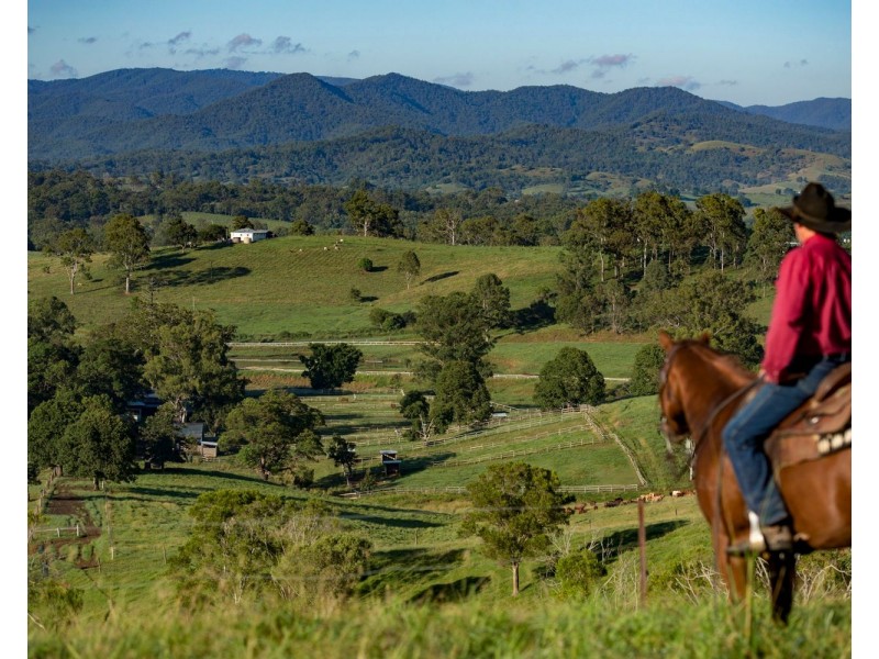 528 Mount Pleasant Road, Mount Pleasant QLD 4521