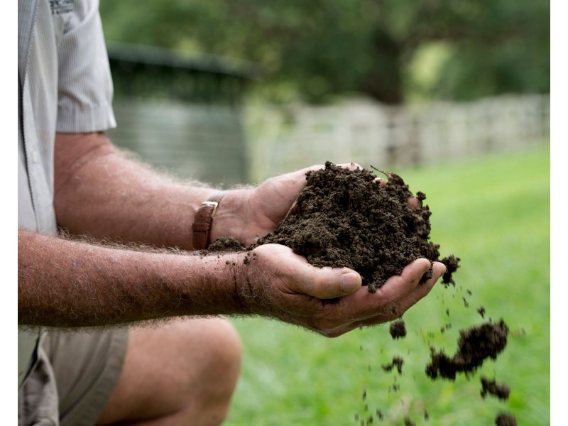 528 Mount Pleasant Road, Mount Pleasant QLD 4521