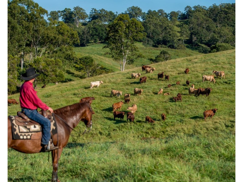 528 Mount Pleasant Road, Mount Pleasant QLD 4521