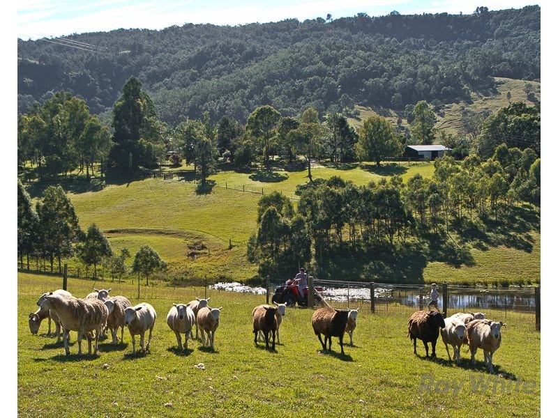 488 Mount Pleasant Road, Mount Pleasant QLD 4521