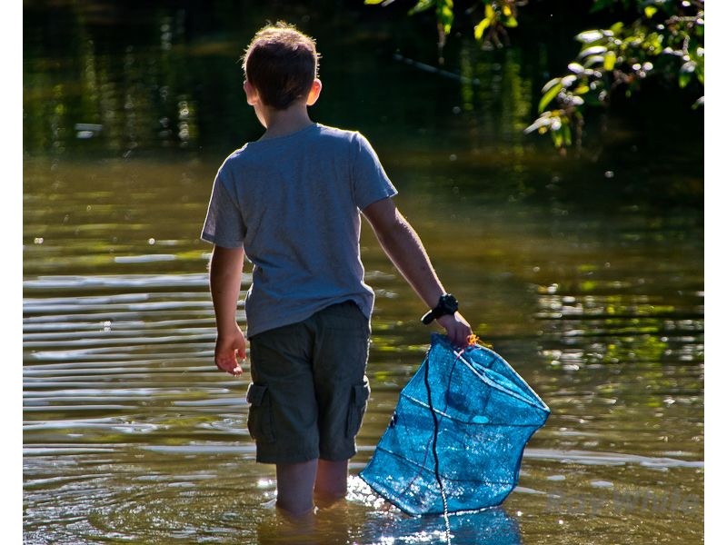 488 Mount Pleasant Road, Mount Pleasant QLD 4521