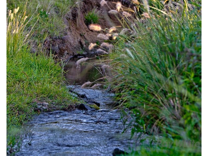 488 Mount Pleasant Road, Mount Pleasant QLD 4521